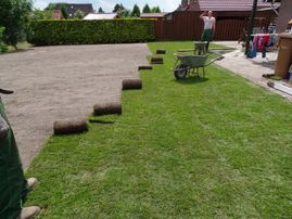 Florian David Garten- & Landschaftsbau Sande Rollrasen