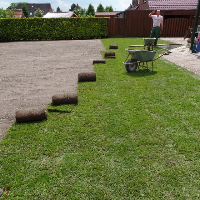 Florian David Garten- & Landschaftsbau Sande Rollrasen