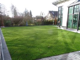 Florian David Garten- & Landschaftsbau Sande Englischer Rasen